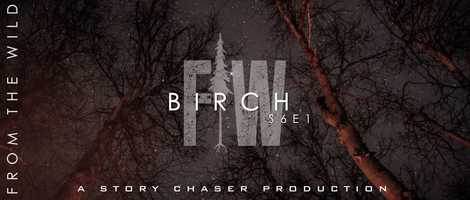 Free download FROM THE WILD - S6E1 - BIRCH [TRAILER] video and edit with RedcoolMedia movie maker MovieStudio video editor online and AudioStudio audio editor onlin